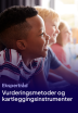 Vurderingen av nevroutviklingsmessige